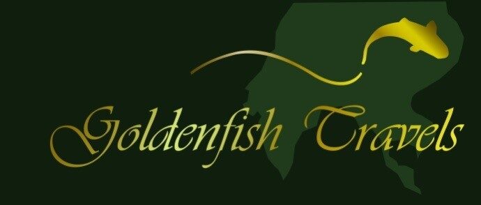 Goldenfish Travels